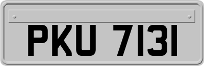 PKU7131