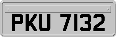 PKU7132