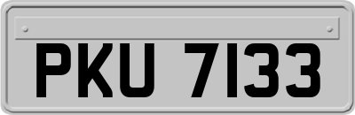 PKU7133