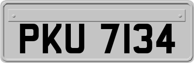 PKU7134