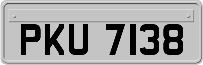 PKU7138