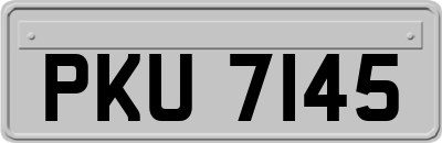 PKU7145