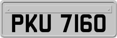 PKU7160