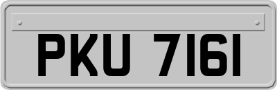 PKU7161