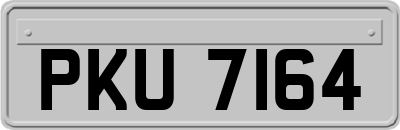 PKU7164