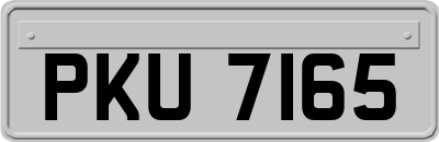 PKU7165