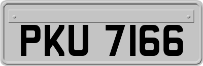 PKU7166