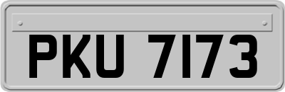PKU7173