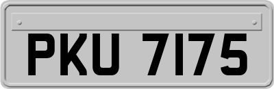 PKU7175