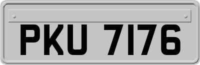 PKU7176