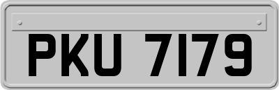PKU7179