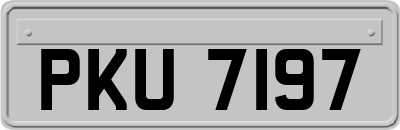 PKU7197