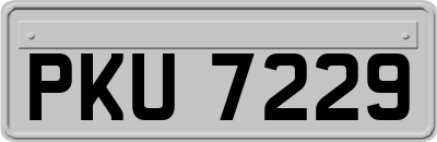 PKU7229