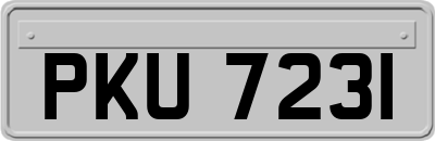 PKU7231