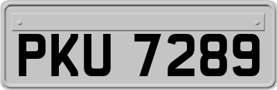 PKU7289