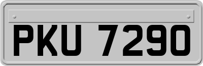 PKU7290