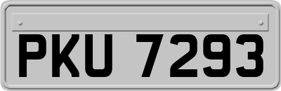 PKU7293