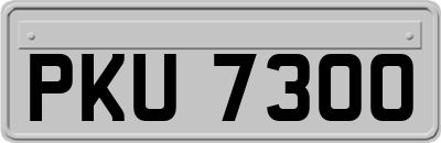 PKU7300