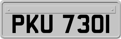 PKU7301