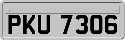 PKU7306