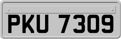 PKU7309