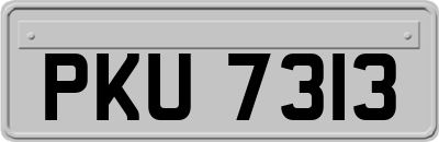 PKU7313