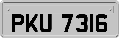 PKU7316