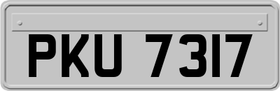 PKU7317