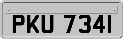 PKU7341