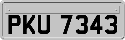 PKU7343