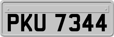 PKU7344