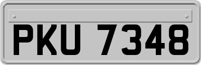 PKU7348