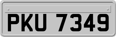 PKU7349