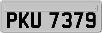 PKU7379