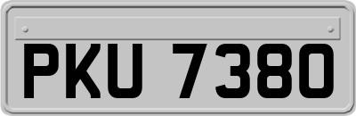 PKU7380