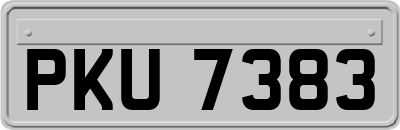 PKU7383