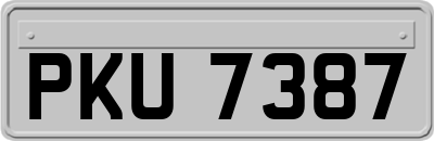 PKU7387