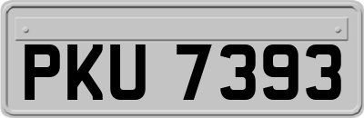 PKU7393