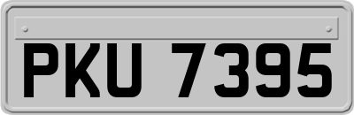 PKU7395