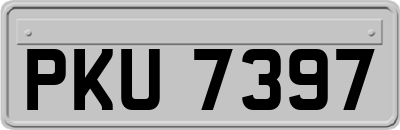 PKU7397