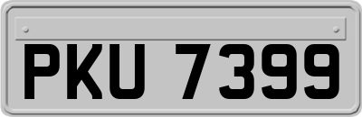 PKU7399