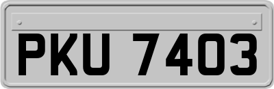 PKU7403