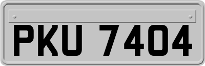 PKU7404