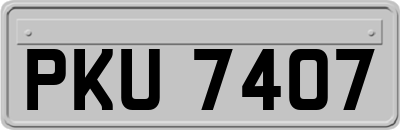 PKU7407