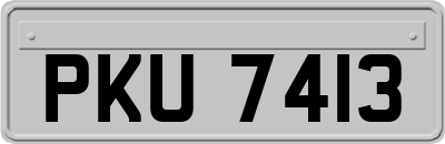 PKU7413