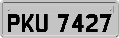PKU7427