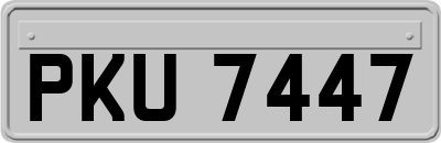 PKU7447