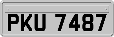 PKU7487