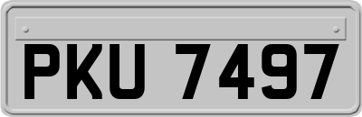 PKU7497