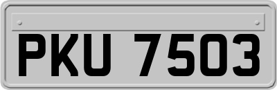 PKU7503